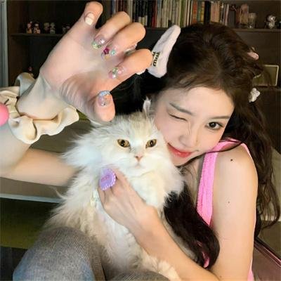 爱情像猫一样